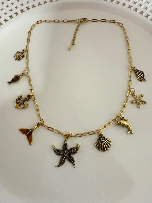 Producto - CD130 Collar multidijes 45 + 5 cm