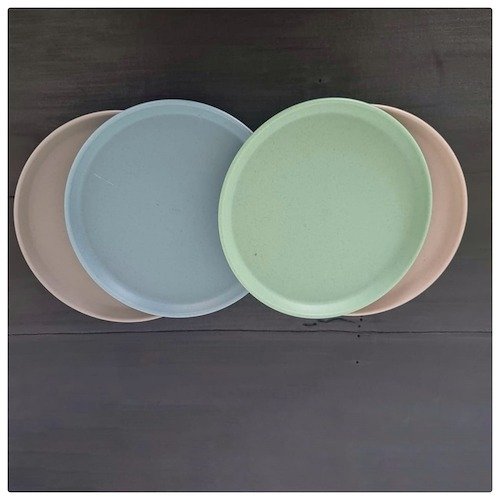 Producto - Plato Little Retro