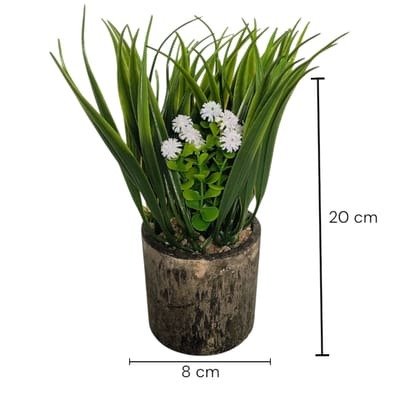 Producto - Planta con maceta de cemento oscuro
