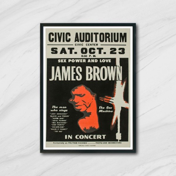 Producto - Cuadro decorativo música James Brown