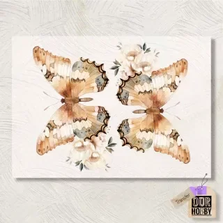 Producto - Transfolex color (plancha) 073