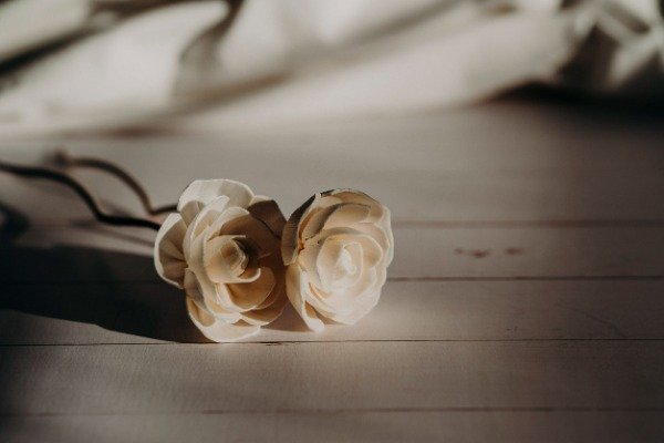 Producto - Camelia y Jazmin - Varillas de rattan