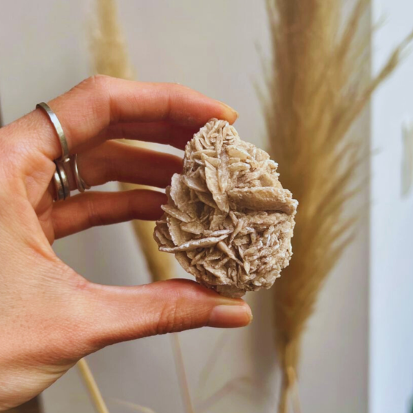 Producto - Rosa del desierto Chica