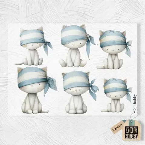 Producto - Lámina DTF TEXTIL Colección Orgullo Argentino OH - 354