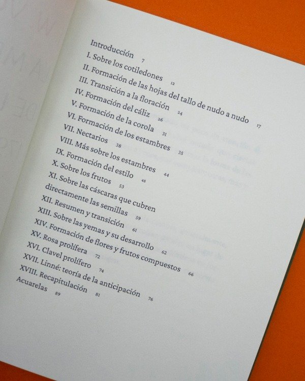 Producto - Goethe, La metamorfosis de las plantas - 2