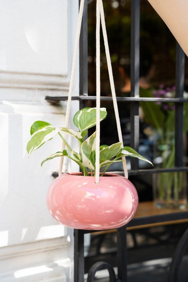 Producto - Maceta Lirio colgante