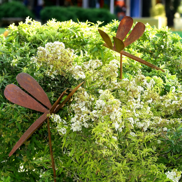 Producto - Set x2 Libélula Lisa Pinche