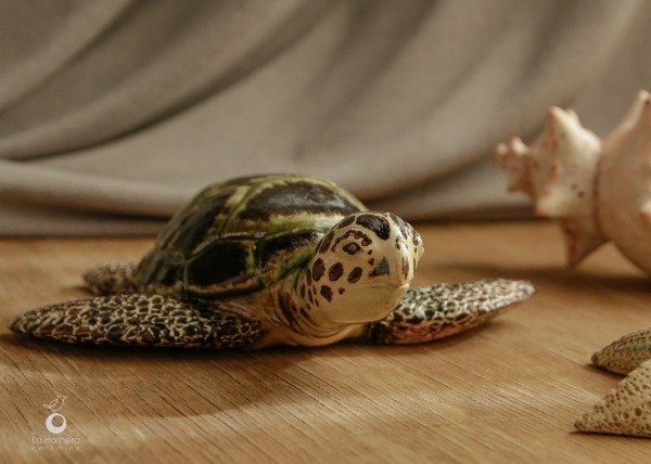 Producto - Tortuga Marina - Escultura - 14