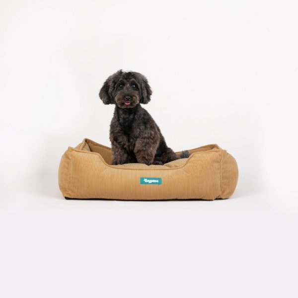 Producto - Cama Timoteo
