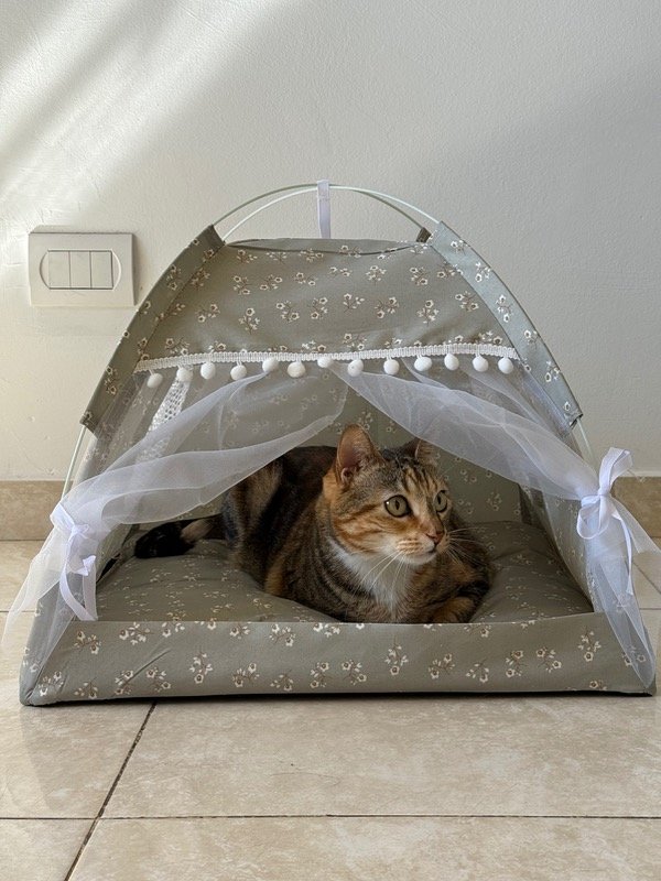 Producto - Cama modelo Carpita (flores)