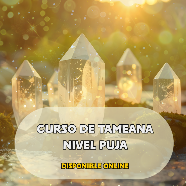 Producto - CURSO DE TAMEANA NIVEL PUJA