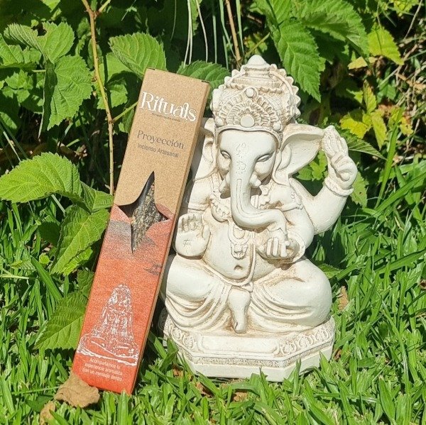 Producto - Proyección