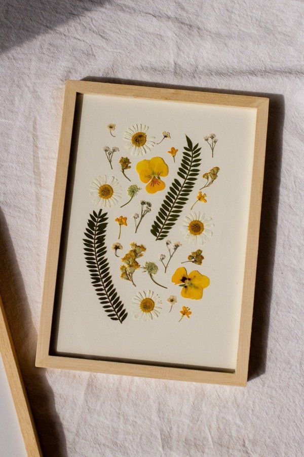 Producto - Composición Margaritas