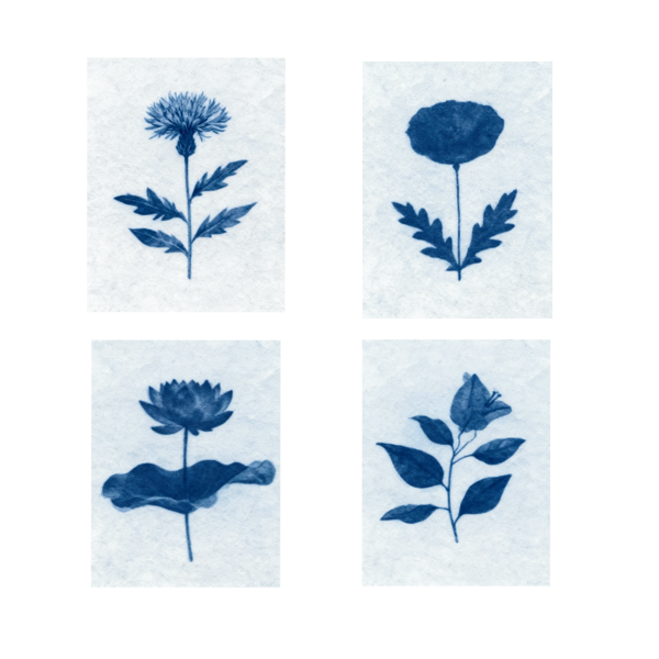 Producto - Láminas Decorativas Para Imprimir Pack x10 Flores Acuarela Azul Cuadro A4