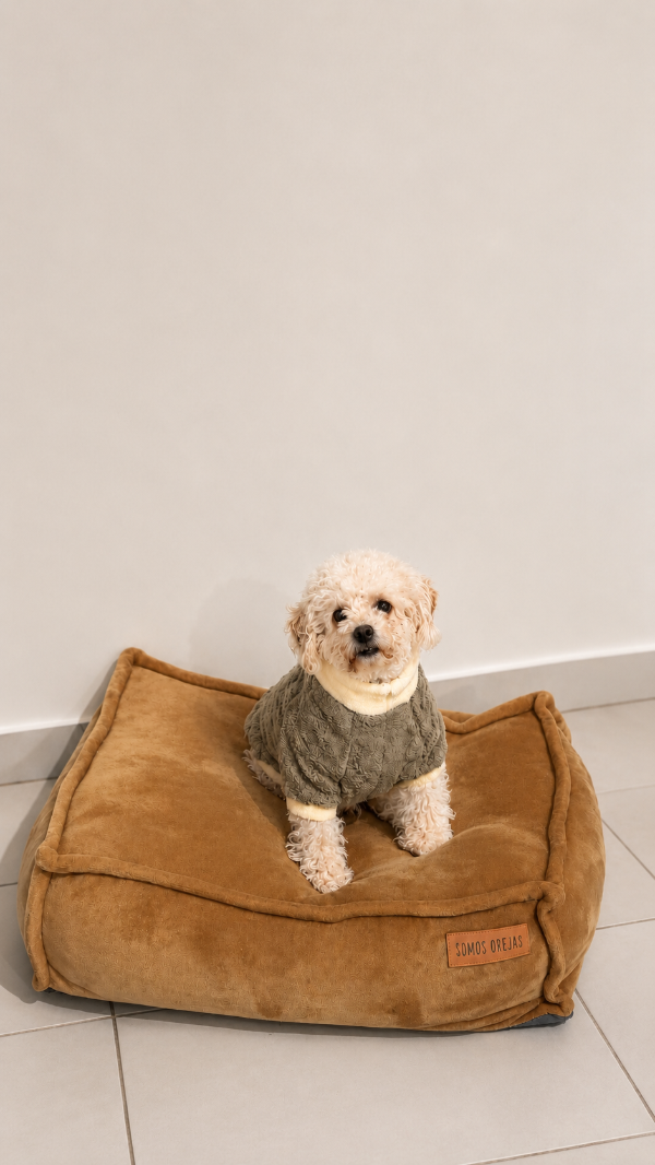 Producto - Buzo premium corderito - Beige
