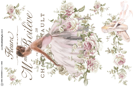 Producto - BALLET 7 TRANSFERMIXED A3