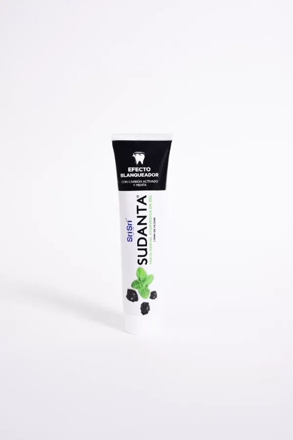 Producto - Sudanta gel menta 100gr - pasta dental ayurvedica sin flúor