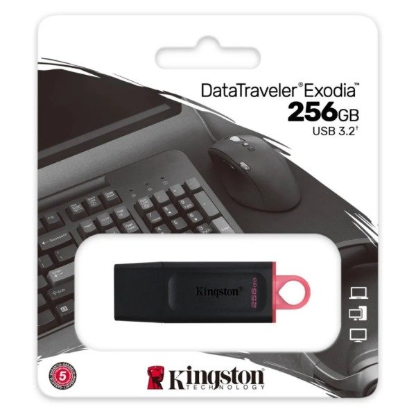 Producto - Pendrive Kingston 256 GB