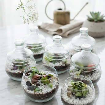Producto - Bombitas con cristales - 1