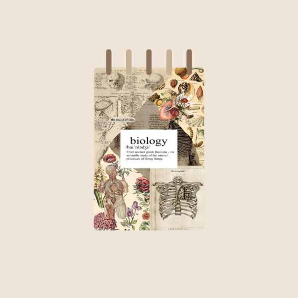 Producto - Fichero N3 Portada Biology