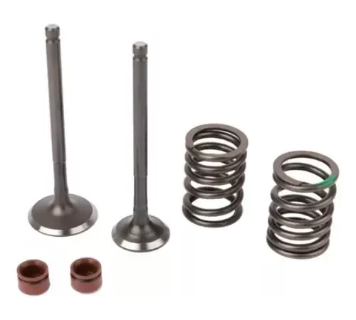 Producto - Kit Valvula V Power 110 Todas