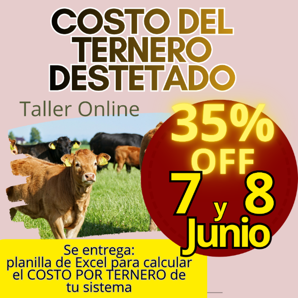 Producto - Taller Online: Costo del Ternero