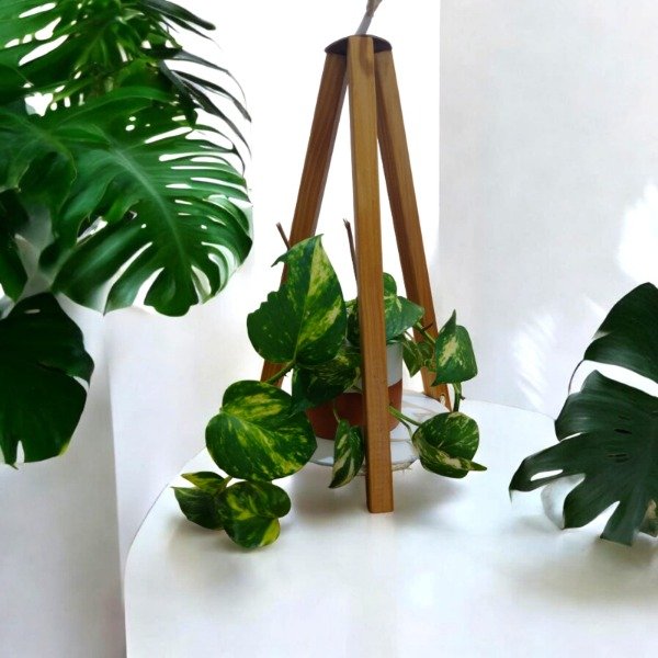 Producto - Set Porta maceta de pie + maceta +planta