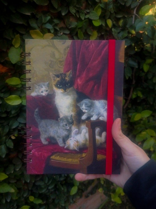 Producto - gatitos a5 - liso