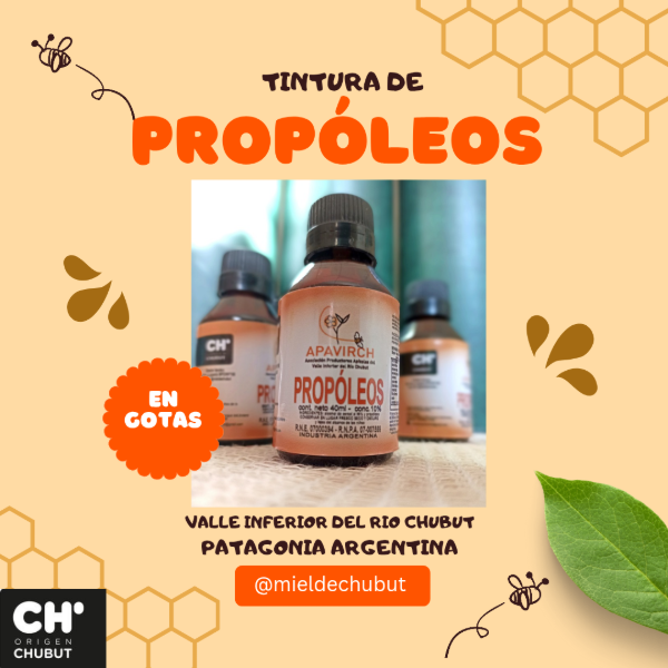 Producto - Tintura de Propóleos en gotas 60 ml