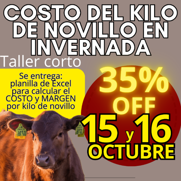 Producto - Taller corto: cálculo del costo del kilo de novillo - 0