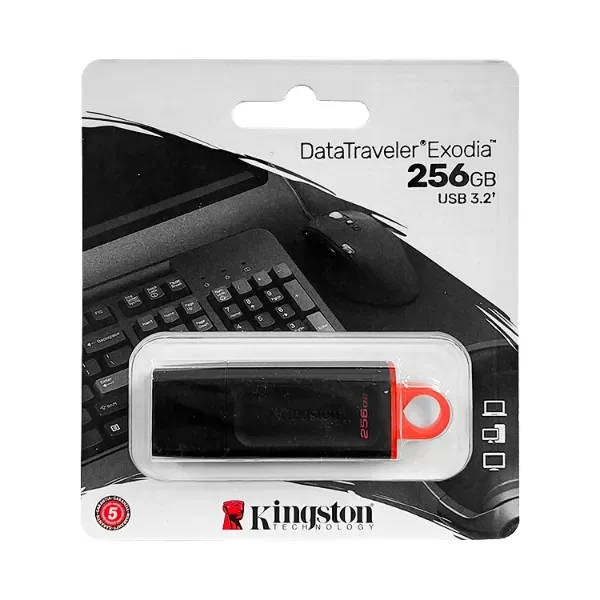 Producto - Pendrive 256GB / KINGSTON