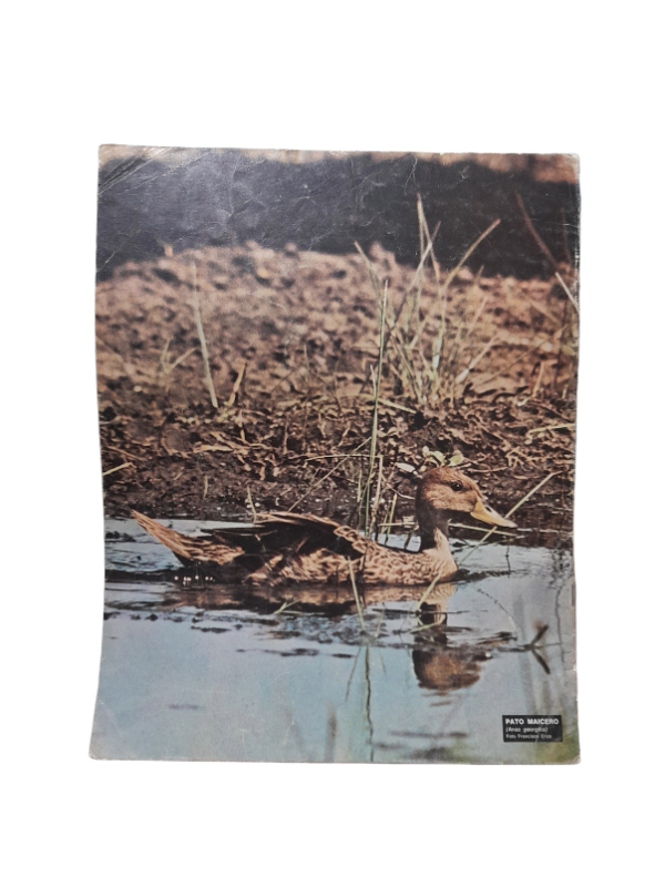 Miniatura de producto - 7