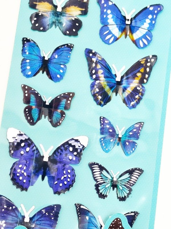 Miniatura de producto - 9