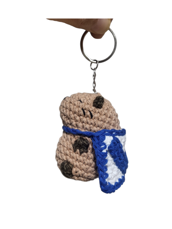 Producto - CarpHincha Vélez