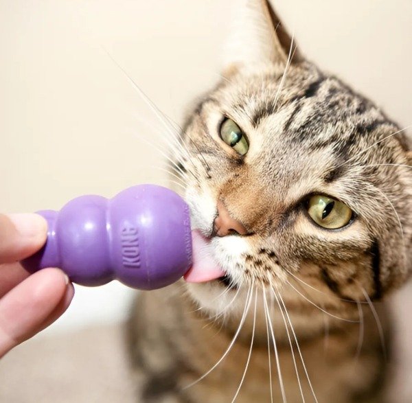 Producto - Kitty Kong Juguete Interactivo para Gatos