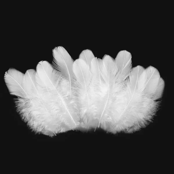 Producto - Plumas de gallo blancas
