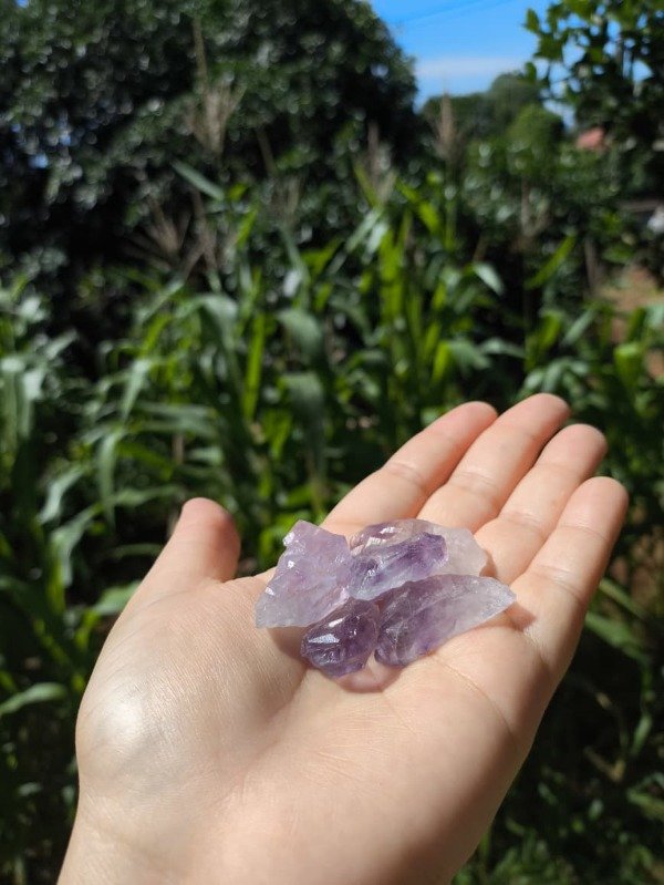 Producto - Amatista - Acuario