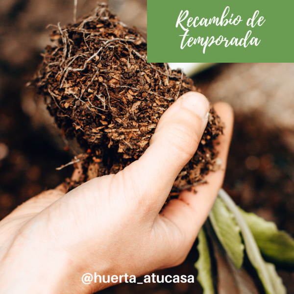 Producto - Recambio de temporada