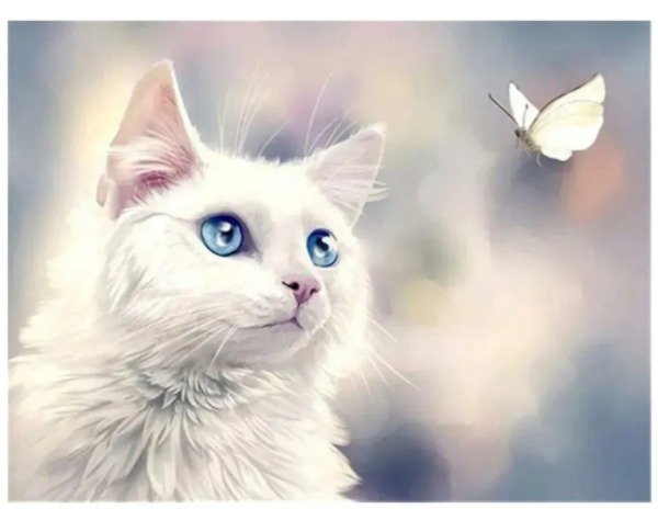 Producto - Diamond painting Gato blanco y mariposa 40x50cm