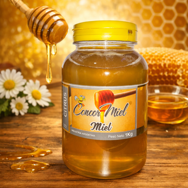 Producto - Concor Miel 1k