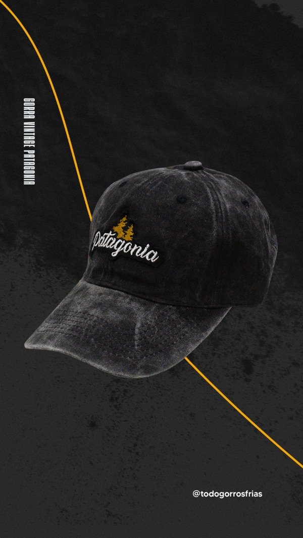 Producto - GORRA VINTAGE PATAGONIA NEGRA