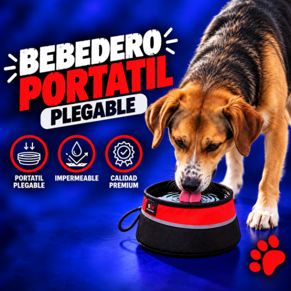 Producto - Bebedero Portátil / Plegable - 1