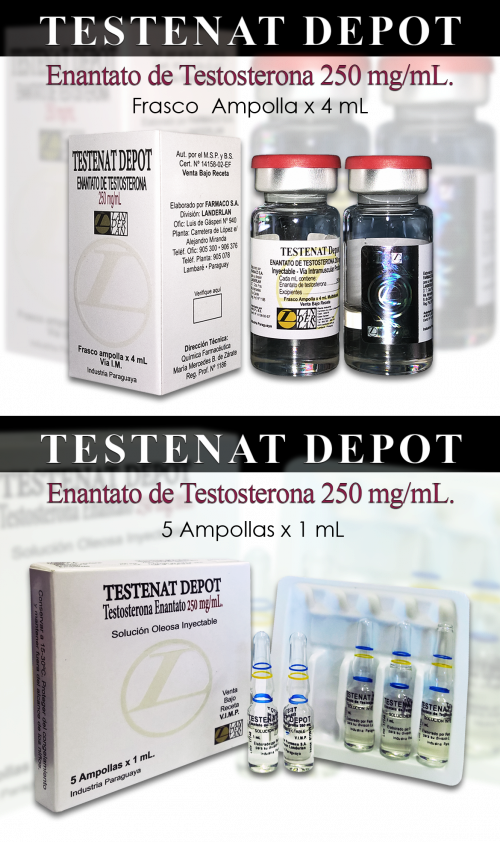 Producto - Testenat Depot 250mg 4mL / 1 mL