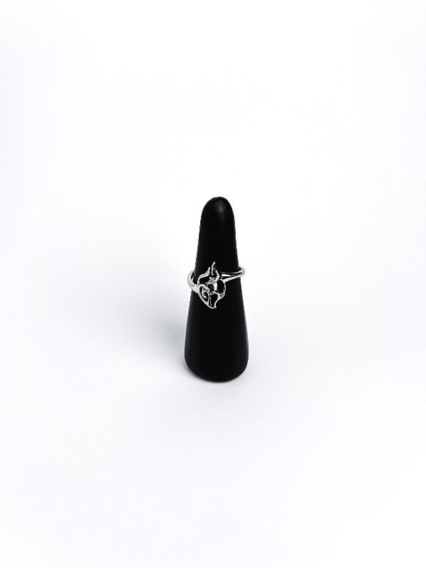 Producto - ANILLO VITAL