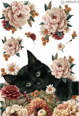 Producto - CATCUTE 4 UV