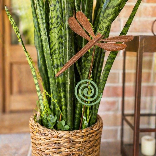 Producto - Porta Espiral Libélula