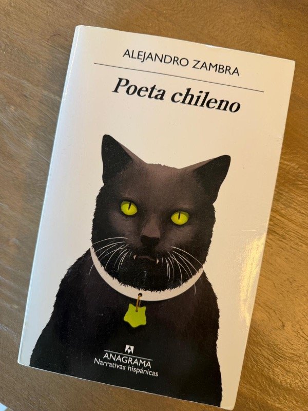 Producto - Poeta chileno - Alejandro Zambra
