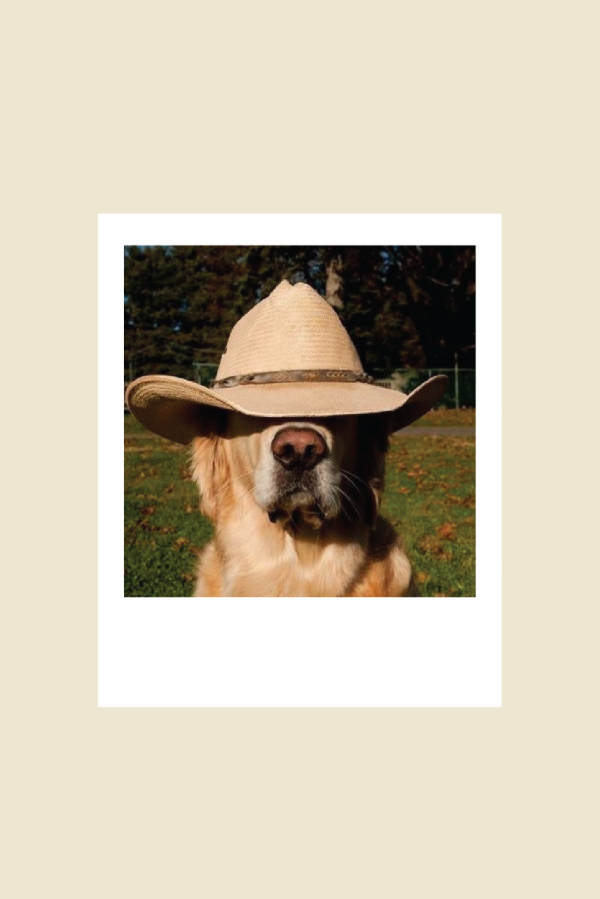 Producto - pack 14 polaroids [clásicas]