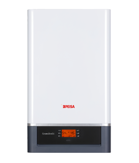 Producto - Peisa SUMMA CONDENS [DS]