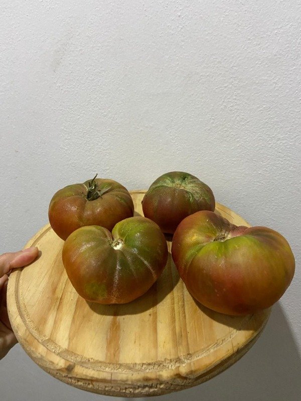 Producto - Semillas Agroecologicas de tomate cherokke black